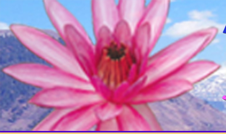 Doubt Free Meditation Teacher Trainings Home Study Courses